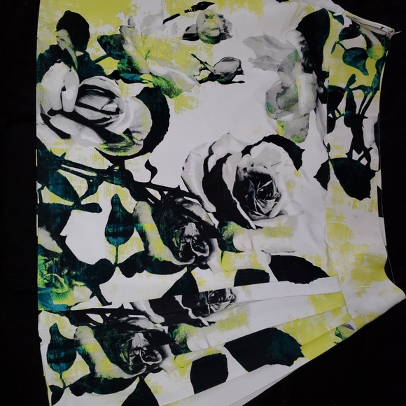 Skit - Picture 3 of 3